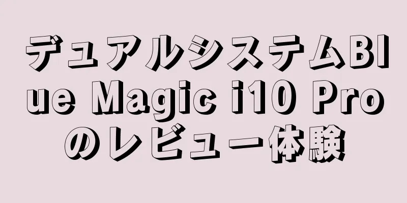デュアルシステムBlue Magic i10 Proのレビュー体験