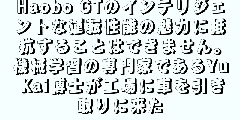 Haobo GTのインテリジェントな運転性能の魅力に抵抗することはできません。機械学習の専門家であるYu Kai博士が工場に車を引き取りに来た