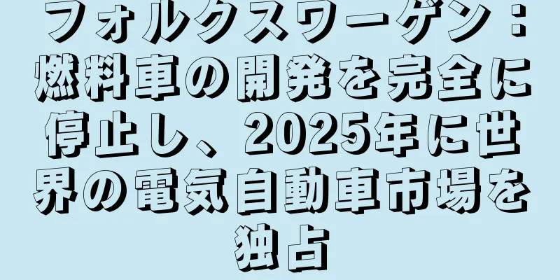 フォルクスワーゲン：燃料車の開発を完全に停止し、2025年に世界の電気自動車市場を独占