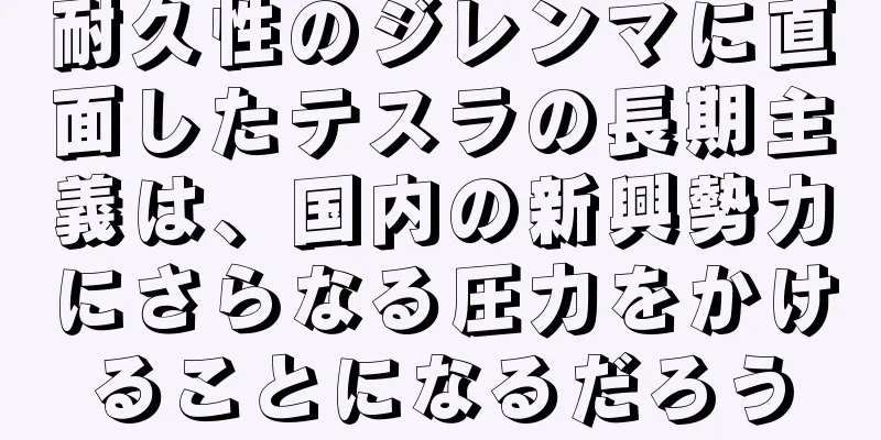 耐久性のジレンマに直面したテスラの長期主義は、国内の新興勢力にさらなる圧力をかけることになるだろう