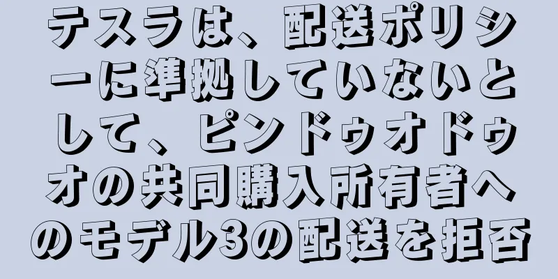 テスラは、配送ポリシーに準拠していないとして、ピンドゥオドゥオの共同購入所有者へのモデル3の配送を拒否