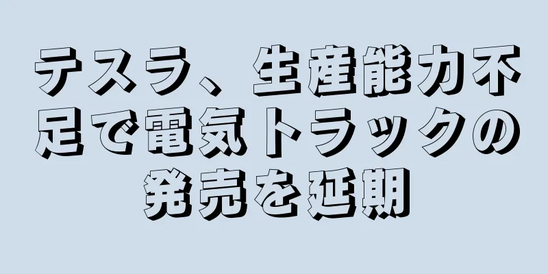 テスラ、生産能力不足で電気トラックの発売を延期