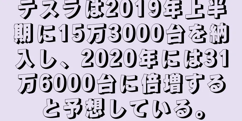 テスラは2019年上半期に15万3000台を納入し、2020年には31万6000台に倍増すると予想している。