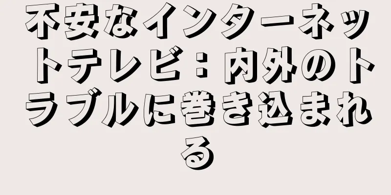 不安なインターネットテレビ：内外のトラブルに巻き込まれる