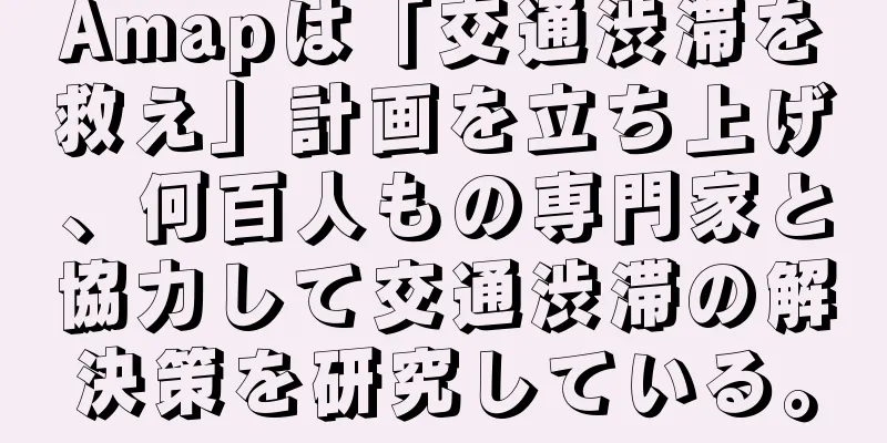 Amapは「交通渋滞を救え」計画を立ち上げ、何百人もの専門家と協力して交通渋滞の解決策を研究している。