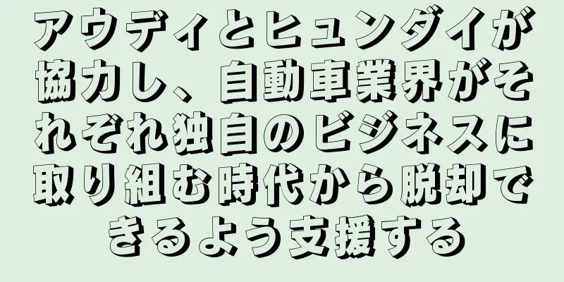 アウディとヒュンダイが協力し、自動車業界がそれぞれ独自のビジネスに取り組む時代から脱却できるよう支援する