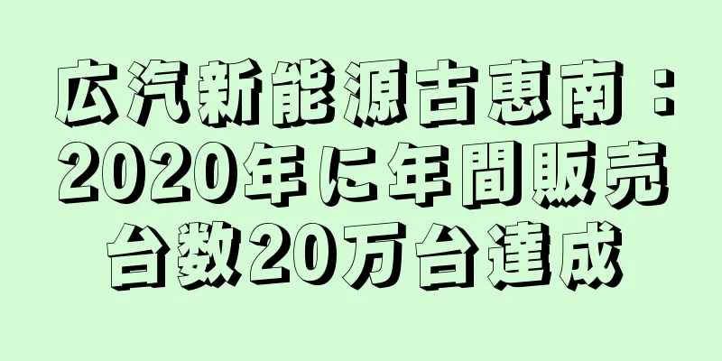 広汽新能源古恵南：2020年に年間販売台数20万台達成