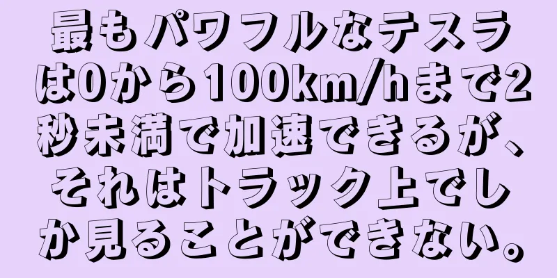 最もパワフルなテスラは0から100km/hまで2秒未満で加速できるが、それはトラック上でしか見ることができない。