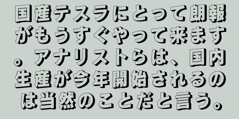 国産テスラにとって朗報がもうすぐやって来ます。アナリストらは、国内生産が今年開始されるのは当然のことだと言う。