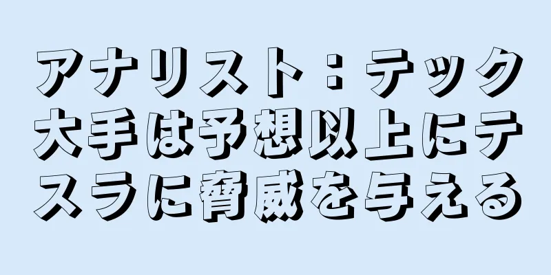 アナリスト：テック大手は予想以上にテスラに脅威を与える