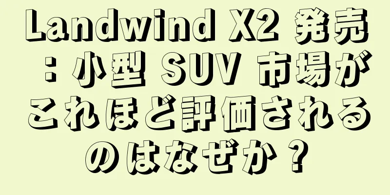 Landwind X2 発売：小型 SUV 市場がこれほど評価されるのはなぜか？