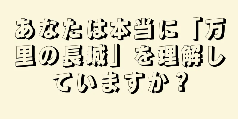 あなたは本当に「万里の長城」を理解していますか？