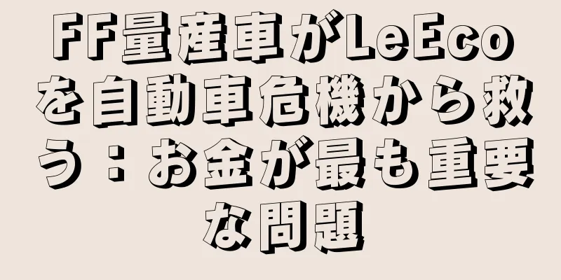 FF量産車がLeEcoを自動車危機から救う：お金が最も重要な問題