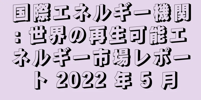 国際エネルギー機関: 世界の再生可能エネルギー市場レポート 2022 年 5 月