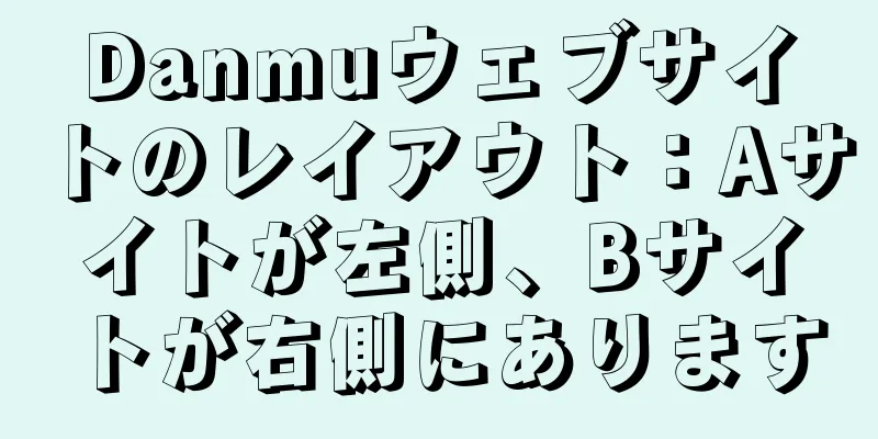Danmuウェブサイトのレイアウト：Aサイトが左側、Bサイトが右側にあります