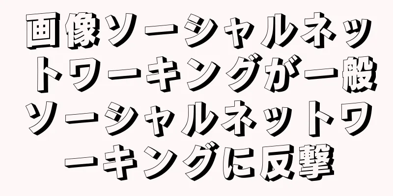 画像ソーシャルネットワーキングが一般ソーシャルネットワーキングに反撃