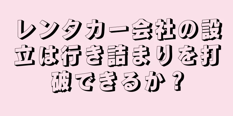 レンタカー会社の設立は行き詰まりを打破できるか？