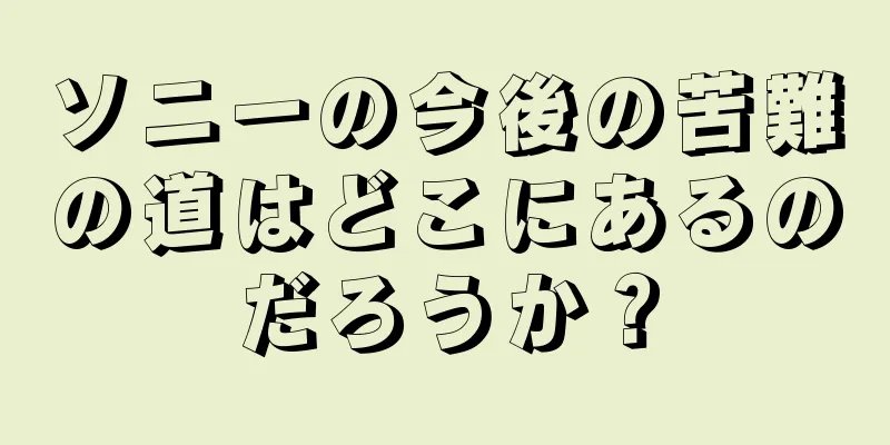 ソニーの今後の苦難の道はどこにあるのだろうか？