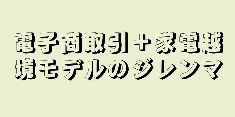 電子商取引＋家電越境モデルのジレンマ