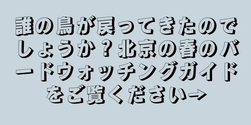誰の鳥が戻ってきたのでしょうか？北京の春のバードウォッチングガイドをご覧ください→