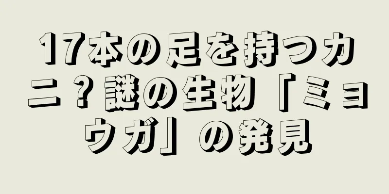 17本の足を持つカニ？謎の生物「ミョウガ」の発見