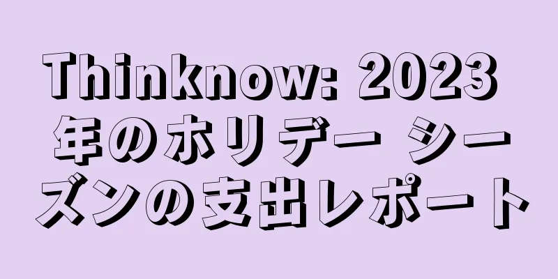 Thinknow: 2023 年のホリデー シーズンの支出レポート