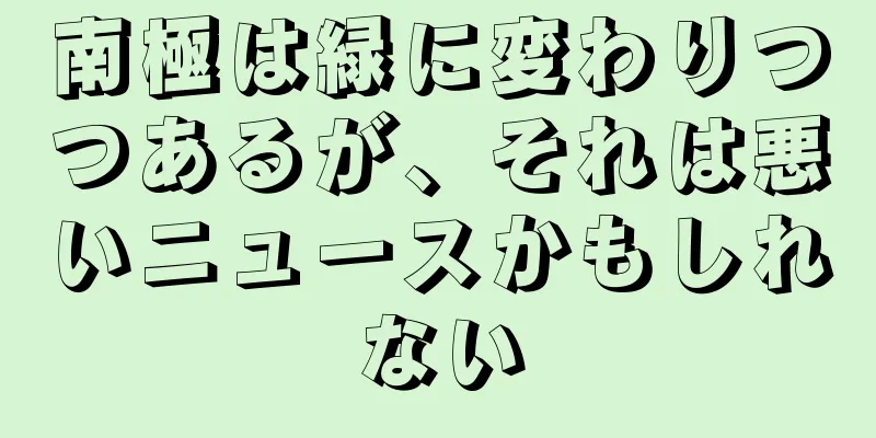 南極は緑に変わりつつあるが、それは悪いニュースかもしれない