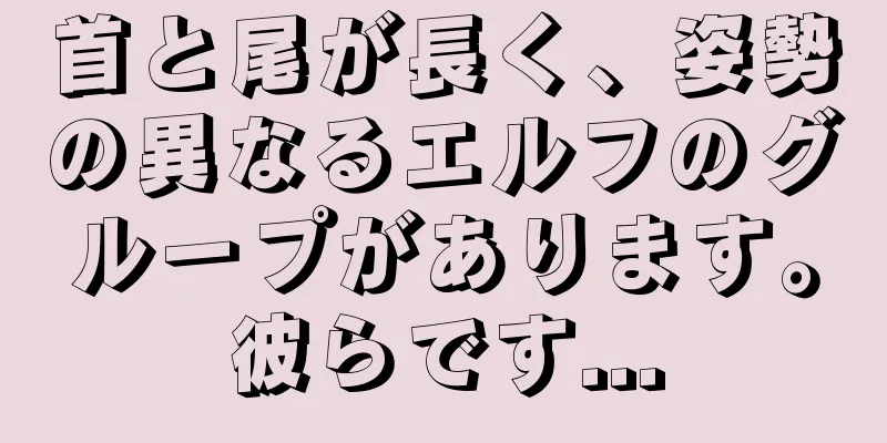 首と尾が長く、姿勢の異なるエルフのグループがあります。彼らです...