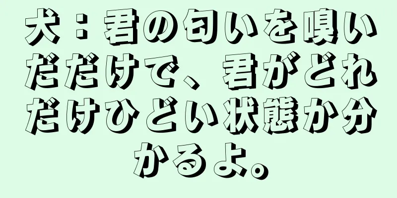 犬：君の匂いを嗅いだだけで、君がどれだけひどい状態か分かるよ。