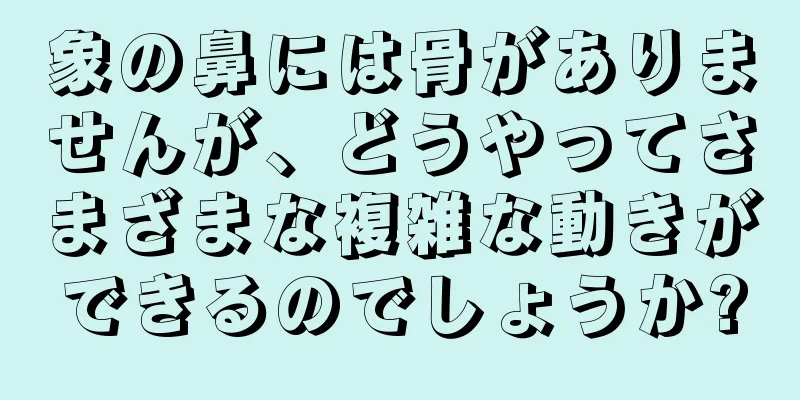 象の鼻には骨がありませんが、どうやってさまざまな複雑な動きができるのでしょうか?