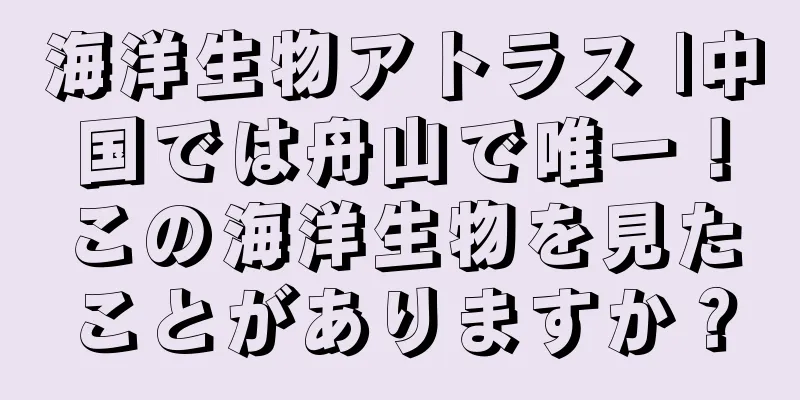 海洋生物アトラス |中国では舟山で唯一！この海洋生物を見たことがありますか？