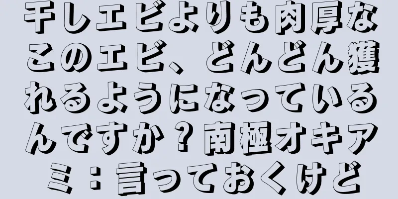 干しエビよりも肉厚なこのエビ、どんどん獲れるようになっているんですか？南極オキアミ：言っておくけど