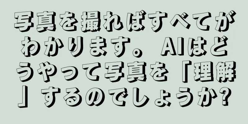 写真を撮ればすべてがわかります。 AIはどうやって写真を「理解」するのでしょうか?