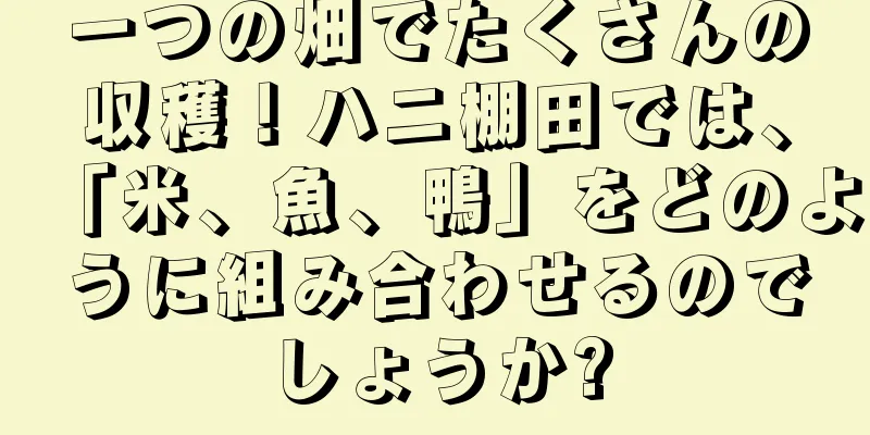 一つの畑でたくさんの収穫！ハニ棚田では、「米、魚、鴨」をどのように組み合わせるのでしょうか?