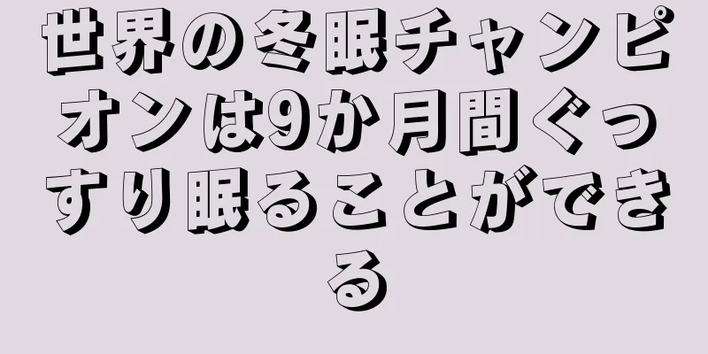 世界の冬眠チャンピオンは9か月間ぐっすり眠ることができる
