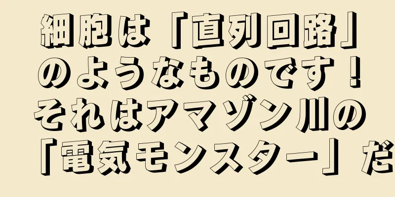 細胞は「直列回路」のようなものです！それはアマゾン川の「電気モンスター」だ