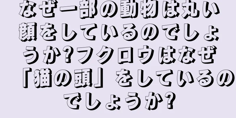 なぜ一部の動物は丸い顔をしているのでしょうか?フクロウはなぜ「猫の頭」をしているのでしょうか?