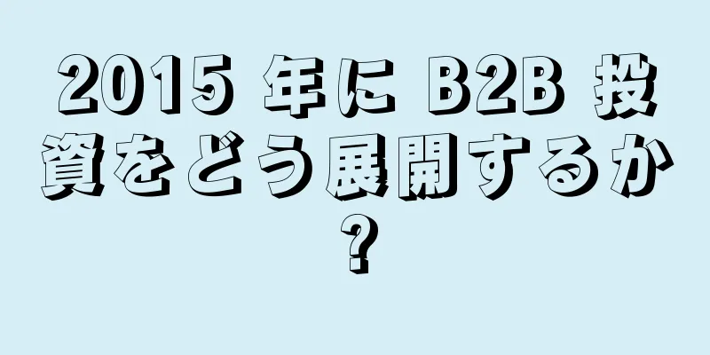 2015 年に B2B 投資をどう展開するか?