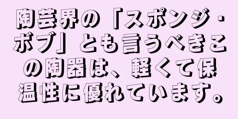陶芸界の「スポンジ・ボブ」とも言うべきこの陶器は、軽くて保温性に優れています。