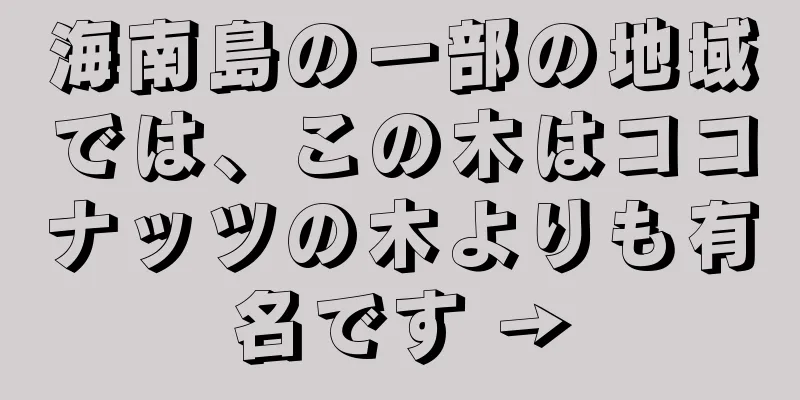 海南島の一部の地域では、この木はココナッツの木よりも有名です →