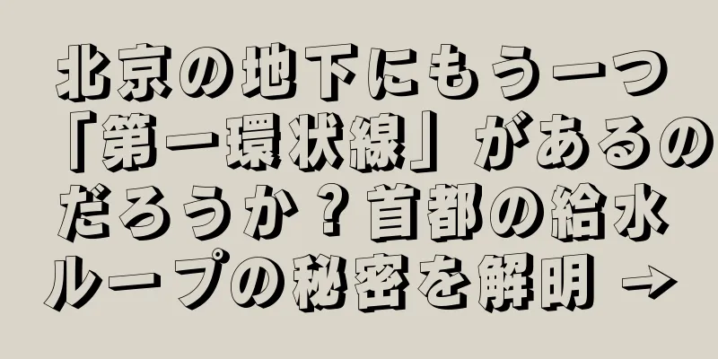 北京の地下にもう一つ「第一環状線」があるのだろうか？首都の給水ループの秘密を解明 →