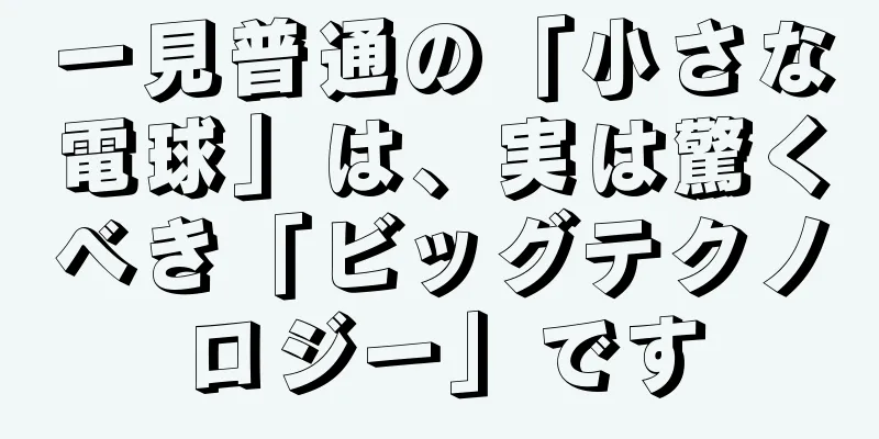 一見普通の「小さな電球」は、実は驚くべき「ビッグテクノロジー」です