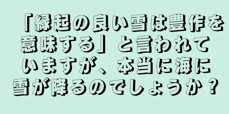「縁起の良い雪は豊作を意味する」と言われていますが、本当に海に雪が降るのでしょうか？