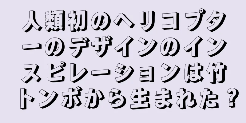 人類初のヘリコプターのデザインのインスピレーションは竹トンボから生まれた？