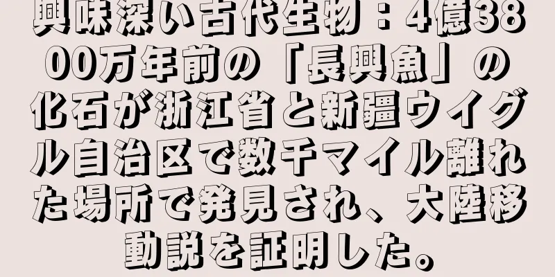 興味深い古代生物：4億3800万年前の「長興魚」の化石が浙江省と新疆ウイグル自治区で数千マイル離れた場所で発見され、大陸移動説を証明した。