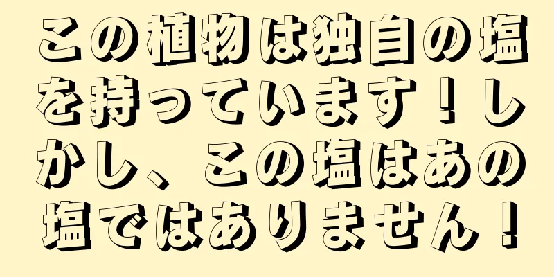 この植物は独自の塩を持っています！しかし、この塩はあの塩ではありません！