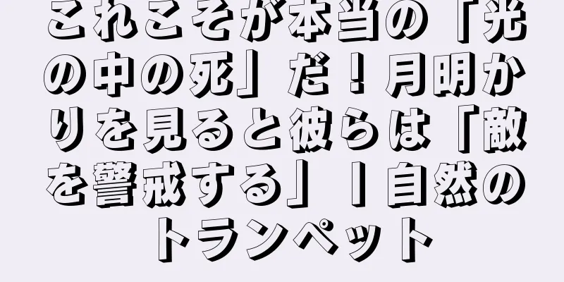 これこそが本当の「光の中の死」だ！月明かりを見ると彼らは「敵を警戒する」丨自然のトランペット