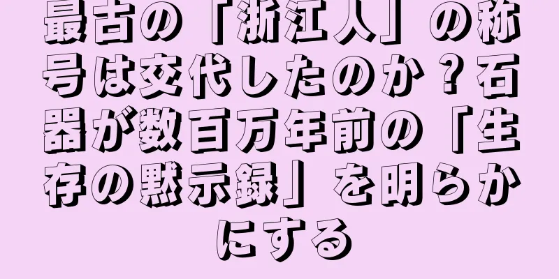最古の「浙江人」の称号は交代したのか？石器が数百万年前の「生存の黙示録」を明らかにする