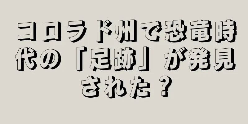 コロラド州で恐竜時代の「足跡」が発見された？