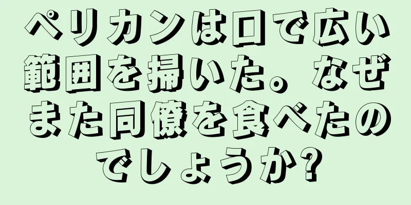 ペリカンは口で広い範囲を掃いた。なぜまた同僚を食べたのでしょうか?